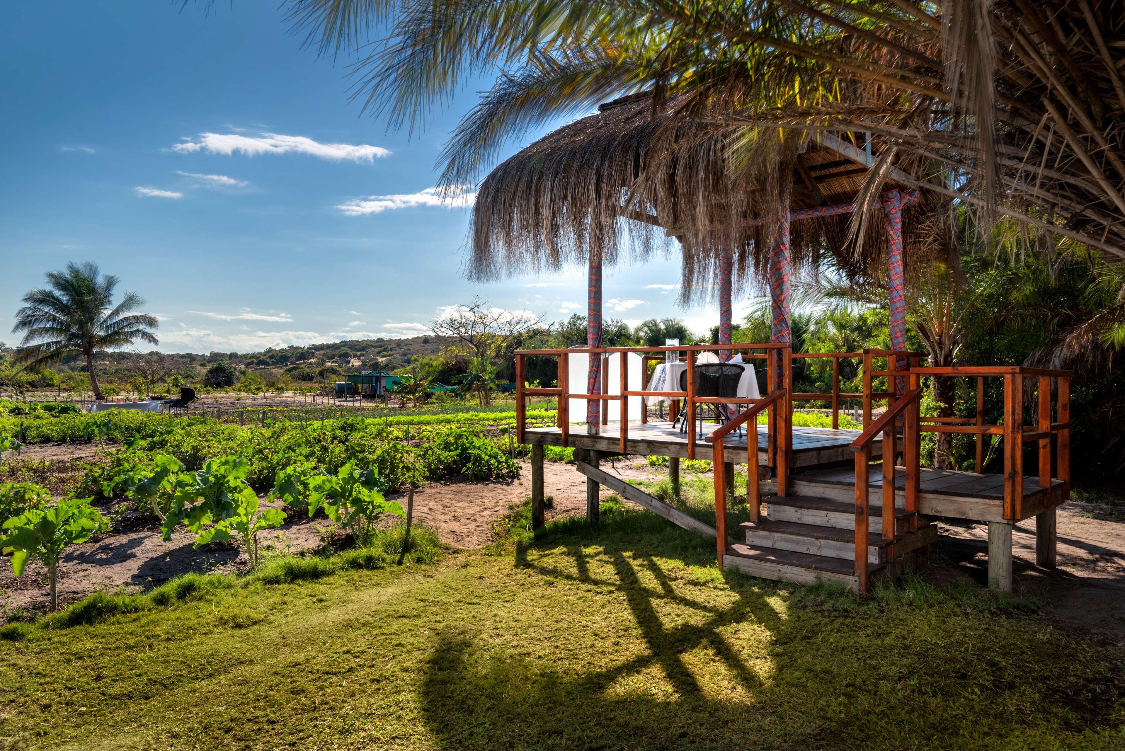 Anantara Bazaruto Island Resort Asneira Dış mekan fotoğraf